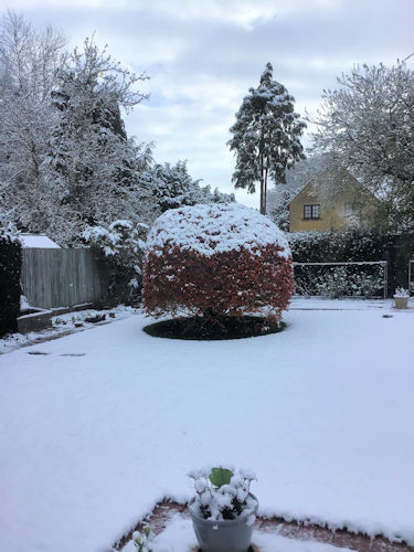 snow
